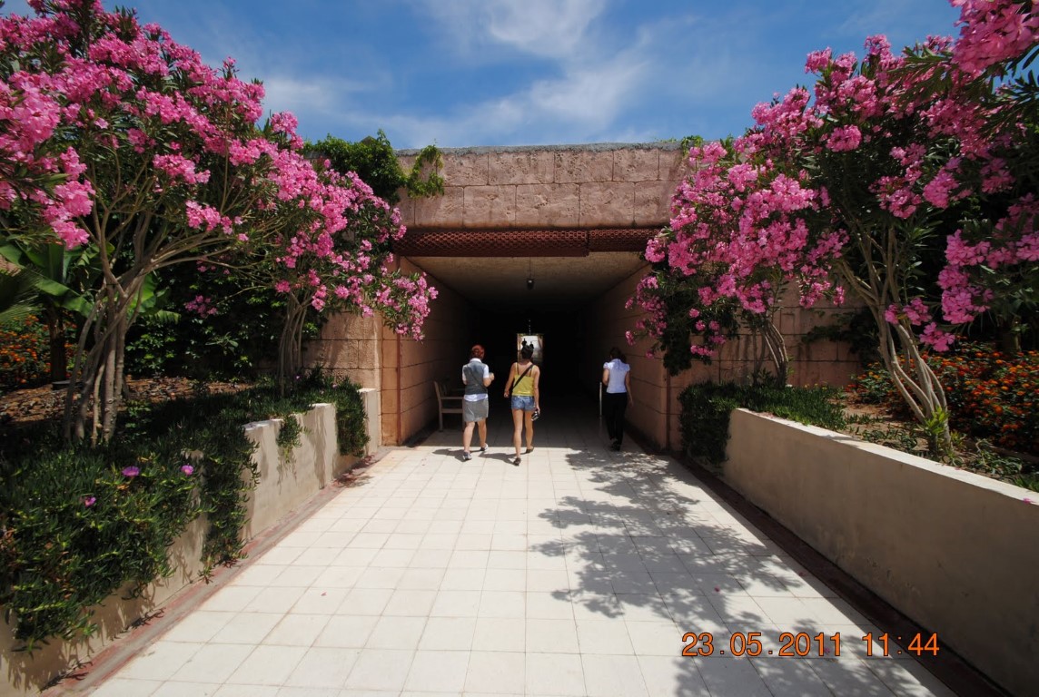 imagini hotel AMELIA BEACH RESORT SIDE